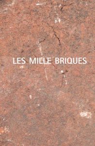 Les mille briques - Andréa Eichenberger [2018]
